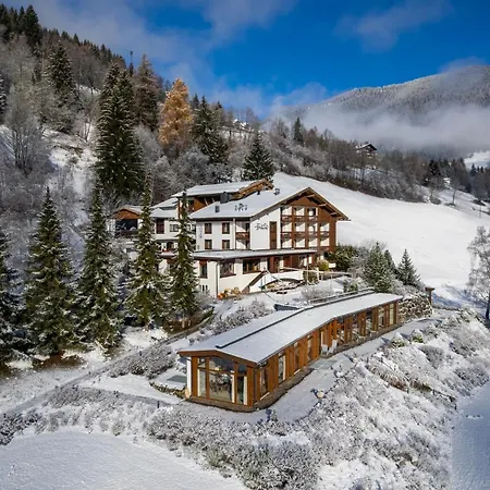 Otp Birkenhof Hotel Bad Kleinkirchheim