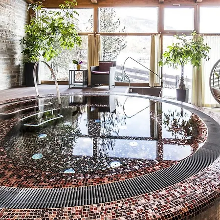 فندق Otp Birkenhof 4*