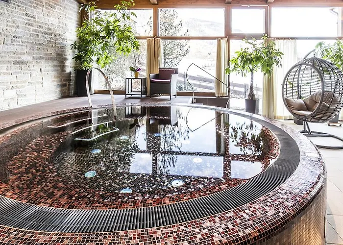 Hotel Otp Birkenhof 4*